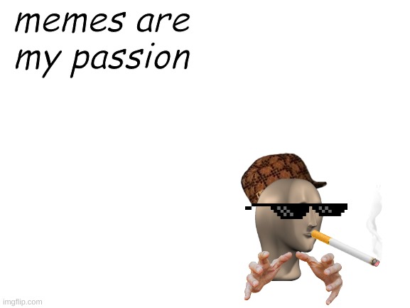 memes are my passion | memes are my passion | image tagged in blank white template,meme man | made w/ Imgflip meme maker