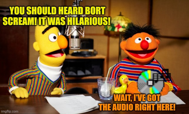 Bert and Ernie's pod cast confessions proved to be very popular | YOU SHOULD HEARD BORT SCREAM! IT WAS HILARIOUS! WAIT, I'VE GOT THE AUDIO RIGHT HERE! | image tagged in bert and ernie radio,bort,died slowly,lol | made w/ Imgflip meme maker