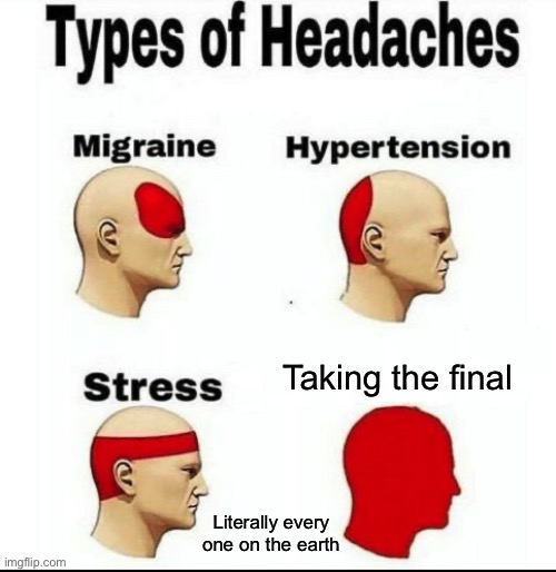 Types of Headaches meme | Taking the final; Literally every one on the earth | image tagged in types of headaches meme | made w/ Imgflip meme maker