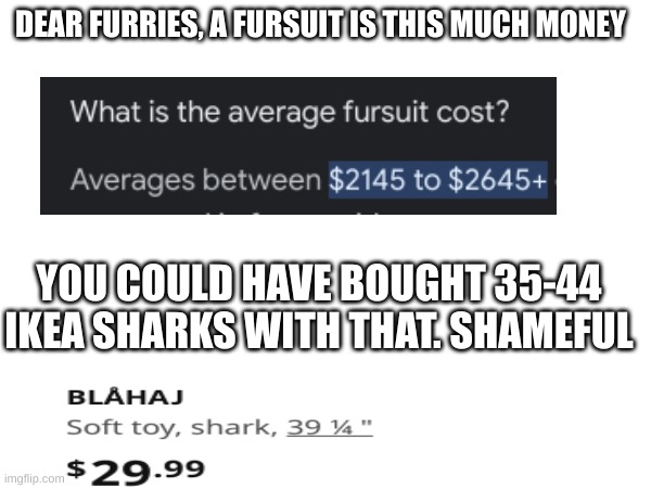 be ashamed. | DEAR FURRIES, A FURSUIT IS THIS MUCH MONEY; YOU COULD HAVE BOUGHT 35-44 IKEA SHARKS WITH THAT. SHAMEFUL | made w/ Imgflip meme maker