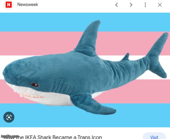 its just a shark plushie | made w/ Imgflip meme maker