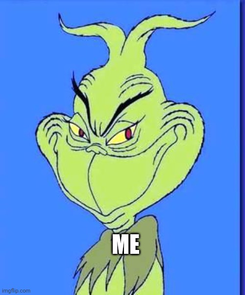Good Grinch | ME | image tagged in good grinch | made w/ Imgflip meme maker