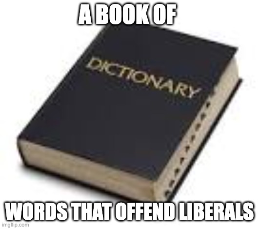 Dictionary. | A BOOK OF; WORDS THAT OFFEND LIBERALS | image tagged in dictionary | made w/ Imgflip meme maker
