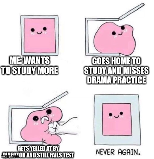 this is why I don't study | ME: WANTS TO STUDY MORE; GOES HOME TO STUDY AND MISSES DRAMA PRACTICE; GETS YELLED AT BY DIRECTOR AND STILL FAILS TEST | image tagged in never again | made w/ Imgflip meme maker
