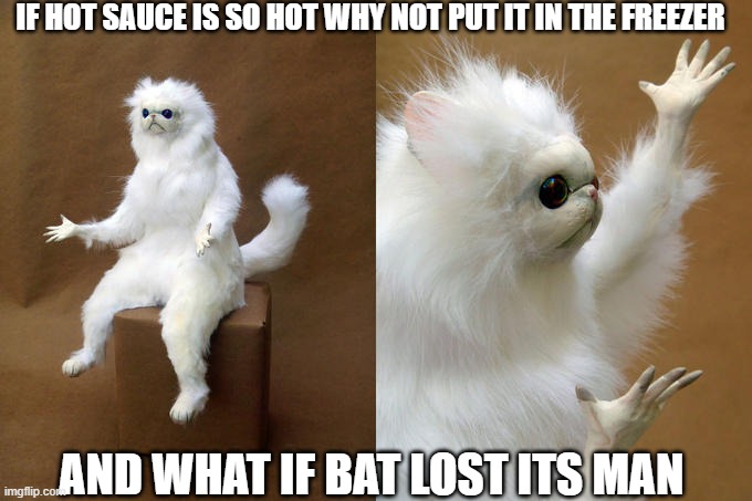 my brain right now | IF HOT SAUCE IS SO HOT WHY NOT PUT IT IN THE FREEZER; AND WHAT IF BAT LOST ITS MAN | image tagged in memes,persian cat room guardian | made w/ Imgflip meme maker