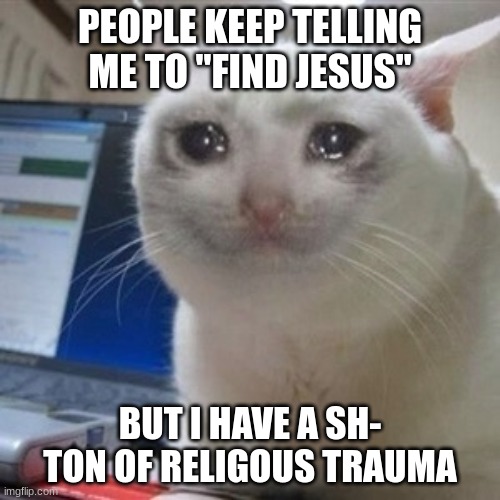 you can thank my mom for it | PEOPLE KEEP TELLING ME TO "FIND JESUS"; BUT I HAVE A SH- TON OF RELIGOUS TRAUMA | image tagged in crying cat | made w/ Imgflip meme maker