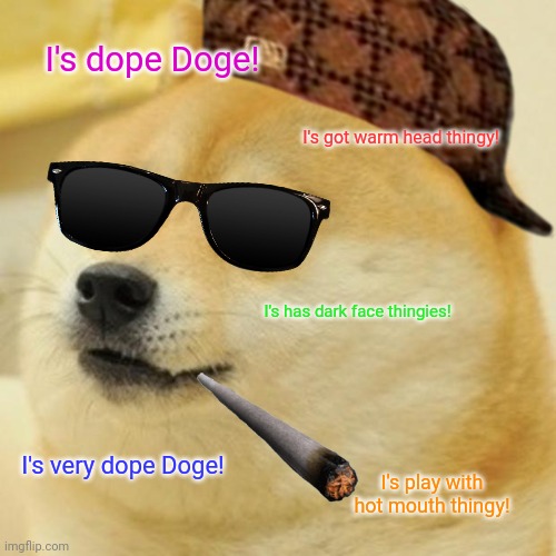 Doge Meme | I's dope Doge! I's got warm head thingy! I's has dark face thingies! I's very dope Doge! I's play with hot mouth thingy! | image tagged in memes,doge | made w/ Imgflip meme maker