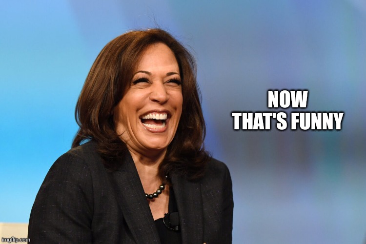 Kamala Harris laughing | NOW THAT'S FUNNY | image tagged in kamala harris laughing | made w/ Imgflip meme maker