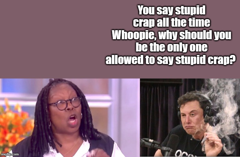 LIBrats  Are Insane | You say stupid crap all the time Whoopie, why should you be the only one allowed to say stupid crap? | image tagged in deranged whoopi,elon musk smoking a joint | made w/ Imgflip meme maker