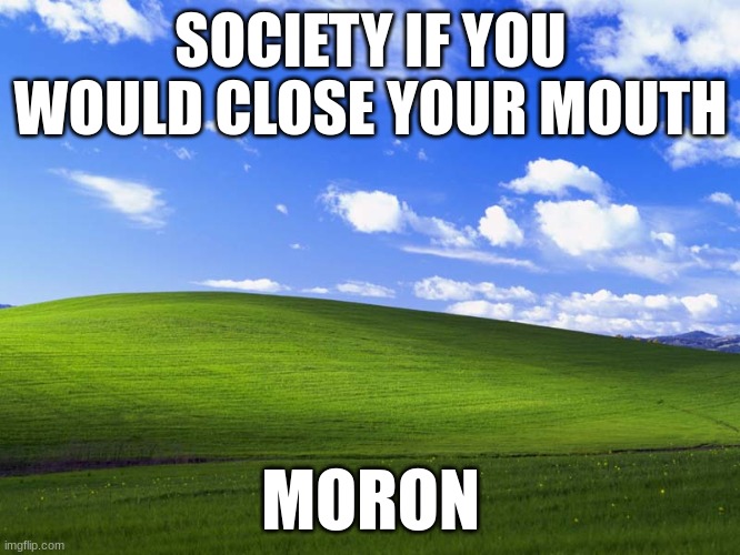 send this to somebody if they are saying something rude in comment section | SOCIETY IF YOU WOULD CLOSE YOUR MOUTH; MORON | image tagged in windows xp wallpaper,funny,rude,comment section | made w/ Imgflip meme maker