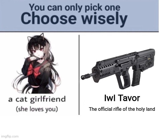 Choose wisely | IwI Tavor; The official rifle of the holy land | image tagged in choose wisely | made w/ Imgflip meme maker