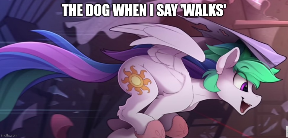 It's true | THE DOG WHEN I SAY 'WALKS' | image tagged in celestia running,dog,mlp,fun,meme | made w/ Imgflip meme maker