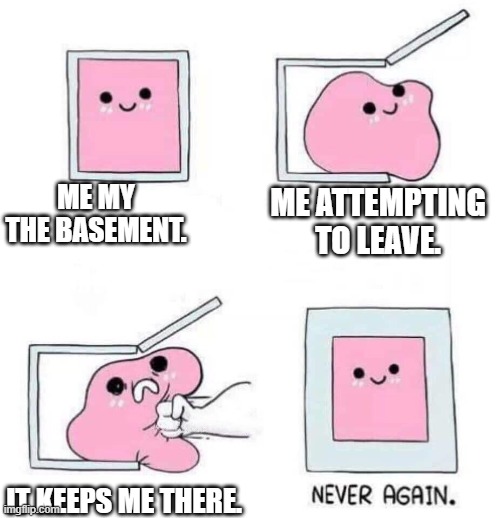 mission... | ME MY THE BASEMENT. ME ATTEMPTING TO LEAVE. IT KEEPS ME THERE. | image tagged in never again | made w/ Imgflip meme maker