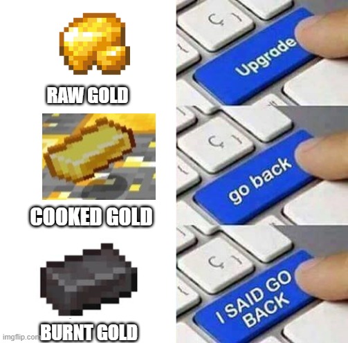 Minecraft YouTubers be like- | RAW GOLD; COOKED GOLD; BURNT GOLD | image tagged in i said go back,minecraft,gold | made w/ Imgflip meme maker