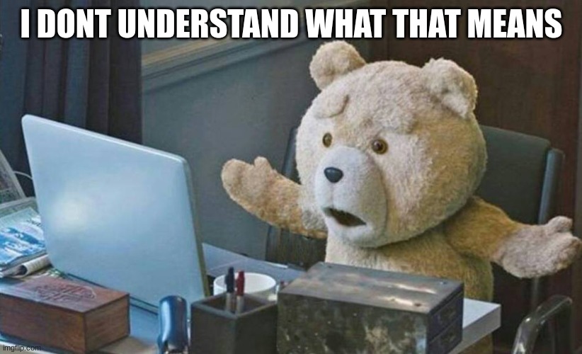 what do you mean? | I DONT UNDERSTAND WHAT THAT MEANS | image tagged in what do you mean | made w/ Imgflip meme maker