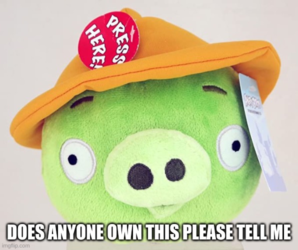 please tell me | DOES ANYONE OWN THIS PLEASE TELL ME | image tagged in angry birds pig | made w/ Imgflip meme maker