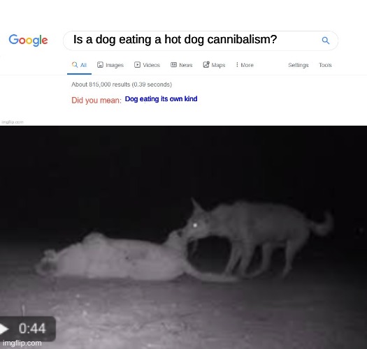Is a dog eating a hot dog cannibalism? Dog eating its own kind | image tagged in did you mean | made w/ Imgflip meme maker