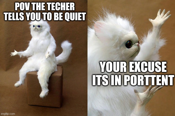 Persian Cat Room Guardian Meme | POV THE TECHER TELLS YOU TO BE QUIET; YOUR EXCUSE ITS IN PORTTENT | image tagged in memes,persian cat room guardian | made w/ Imgflip meme maker