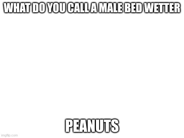 WHAT DO YOU CALL A MALE BED WETTER; PEANUTS | image tagged in memes,deez nuts | made w/ Imgflip meme maker