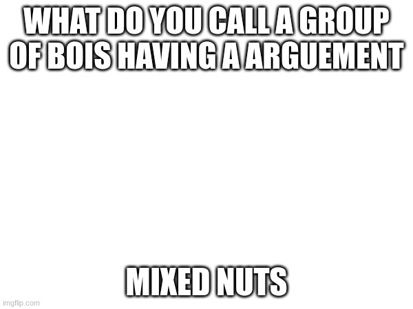 WHAT DO YOU CALL A GROUP OF BOIS HAVING A ARGUEMENT; MIXED NUTS | image tagged in fun memes,deez nutz | made w/ Imgflip meme maker