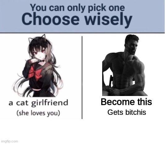 Choose | Become this; Gets bitchis | image tagged in choose wisely | made w/ Imgflip meme maker