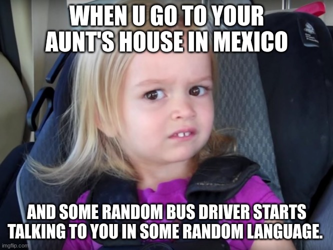 ? | WHEN U GO TO YOUR AUNT'S HOUSE IN MEXICO; AND SOME RANDOM BUS DRIVER STARTS TALKING TO YOU IN SOME RANDOM LANGUAGE. | image tagged in huh,relatable | made w/ Imgflip meme maker
