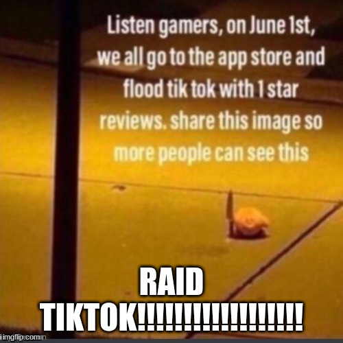 RAID TIKTOK!!!!!!!!!!!!!!! | RAID TIKTOK!!!!!!!!!!!!!!!!!! | image tagged in reposts | made w/ Imgflip meme maker