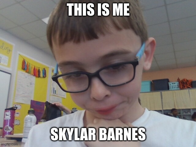 Face reveal | THIS IS ME; SKYLAR BARNES | image tagged in random | made w/ Imgflip meme maker