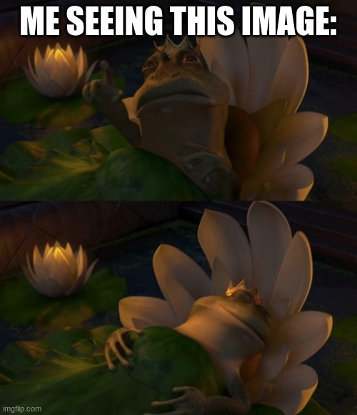 Shrek King Harold Dying | ME SEEING THIS IMAGE: | image tagged in shrek king harold dying | made w/ Imgflip meme maker