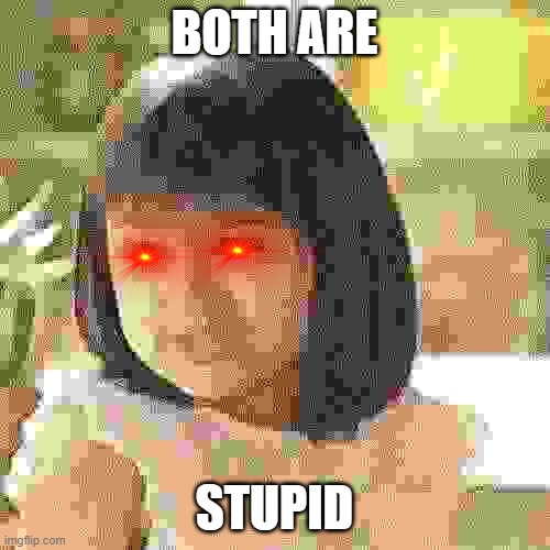 Why not both? | BOTH ARE STUPID | image tagged in why not both | made w/ Imgflip meme maker