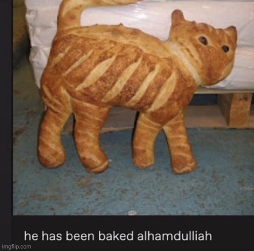 He has been baked | image tagged in he has been baked | made w/ Imgflip meme maker