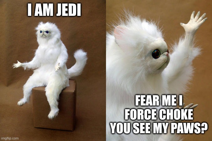 resdtgyuihjpokp[l | I AM JEDI; FEAR ME I FORCE CHOKE YOU SEE MY PAWS? | image tagged in memes,persian cat room guardian | made w/ Imgflip meme maker