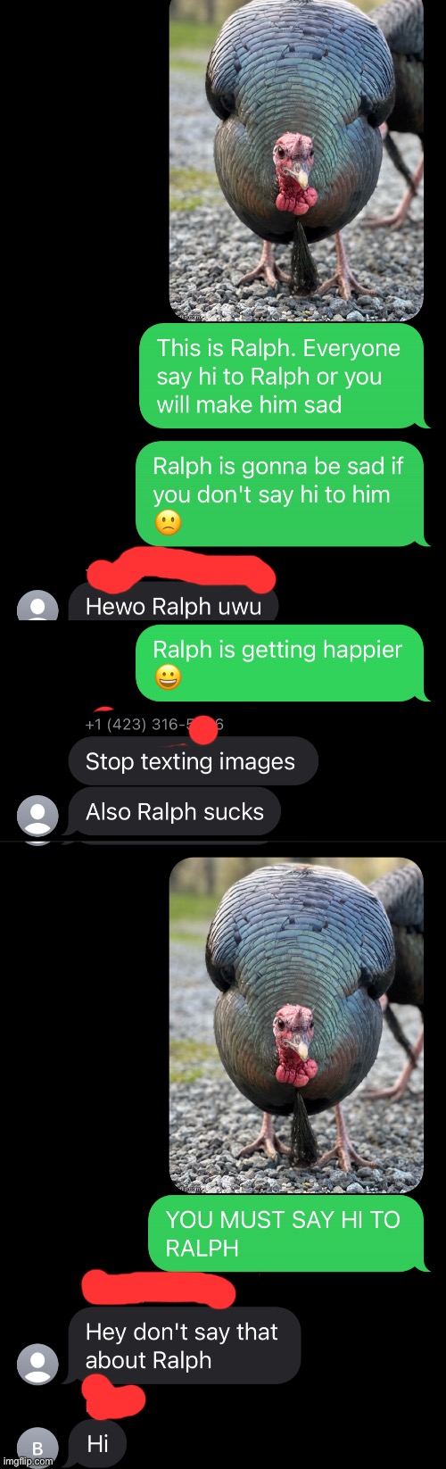 Everyone say hi to Ralph and do not say mean things about him or you will make him sad | made w/ Imgflip meme maker