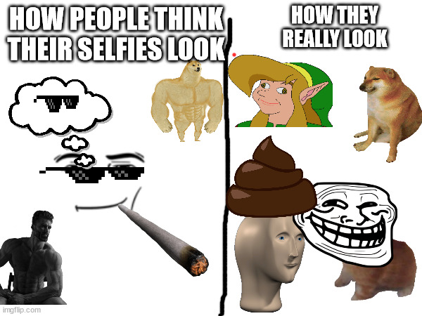 HOW THEY REALLY LOOK; HOW PEOPLE THINK THEIR SELFIES LOOK | made w/ Imgflip meme maker