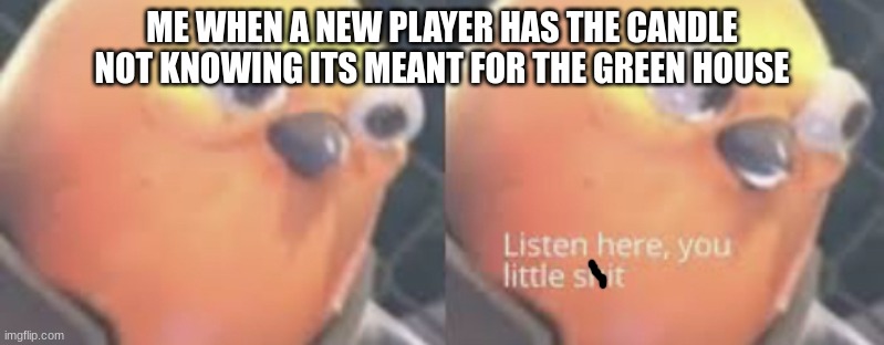 All new players did this | ME WHEN A NEW PLAYER HAS THE CANDLE NOT KNOWING ITS MEANT FOR THE GREEN HOUSE | image tagged in listen here you little shit bird | made w/ Imgflip meme maker