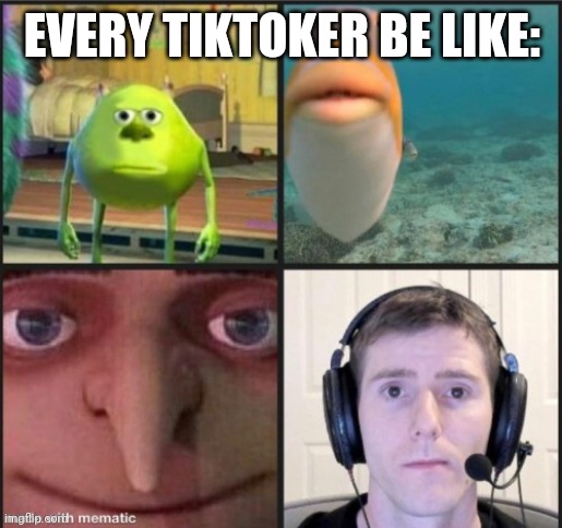 Bruh | EVERY TIKTOKER BE LIKE: | image tagged in silence | made w/ Imgflip meme maker