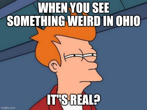 Futurama Fry | WHEN YOU SEE SOMETHING WEIRD IN OHIO; IT"S REAL? | image tagged in memes,futurama fry | made w/ Imgflip meme maker