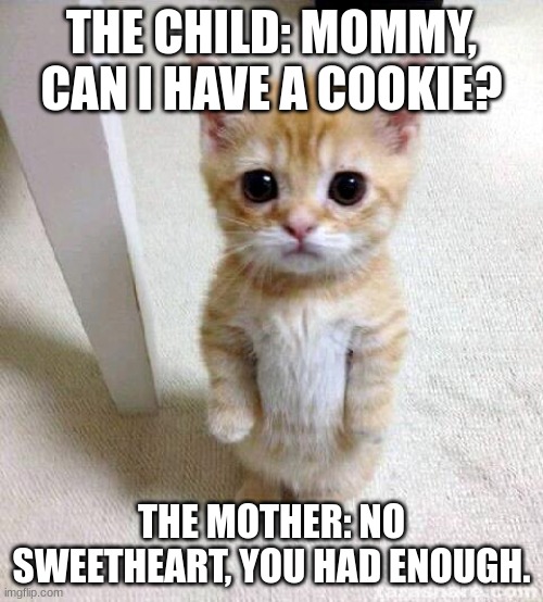 Cute Cat Meme | THE CHILD: MOMMY, CAN I HAVE A COOKIE? THE MOTHER: NO SWEETHEART, YOU HAD ENOUGH. | image tagged in memes,cute cat | made w/ Imgflip meme maker