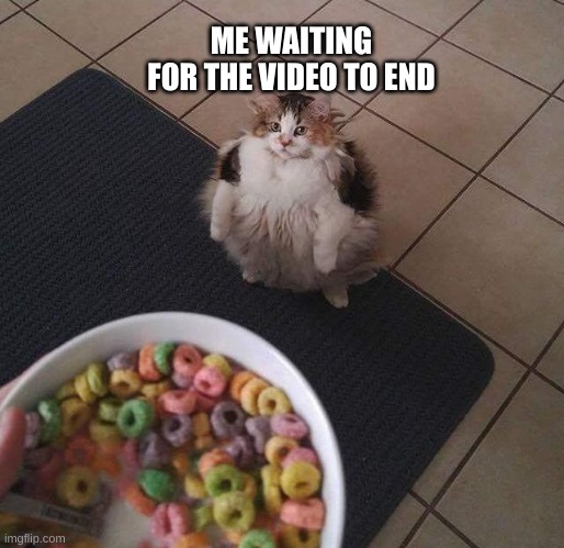 Loops Brother | ME WAITING FOR THE VIDEO TO END | image tagged in loops brother | made w/ Imgflip meme maker