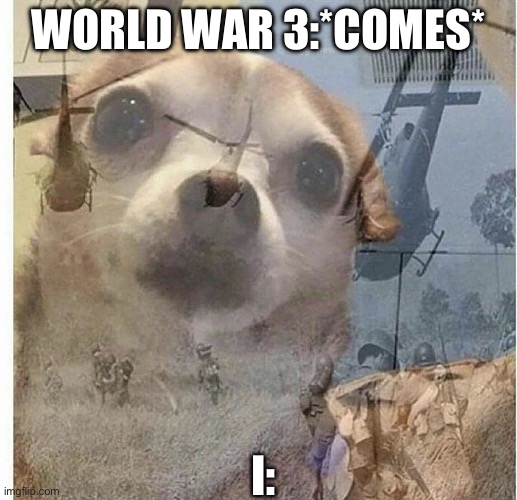 When WW3 comes | WORLD WAR 3:*COMES*; I: | image tagged in ptsd chihuahua | made w/ Imgflip meme maker