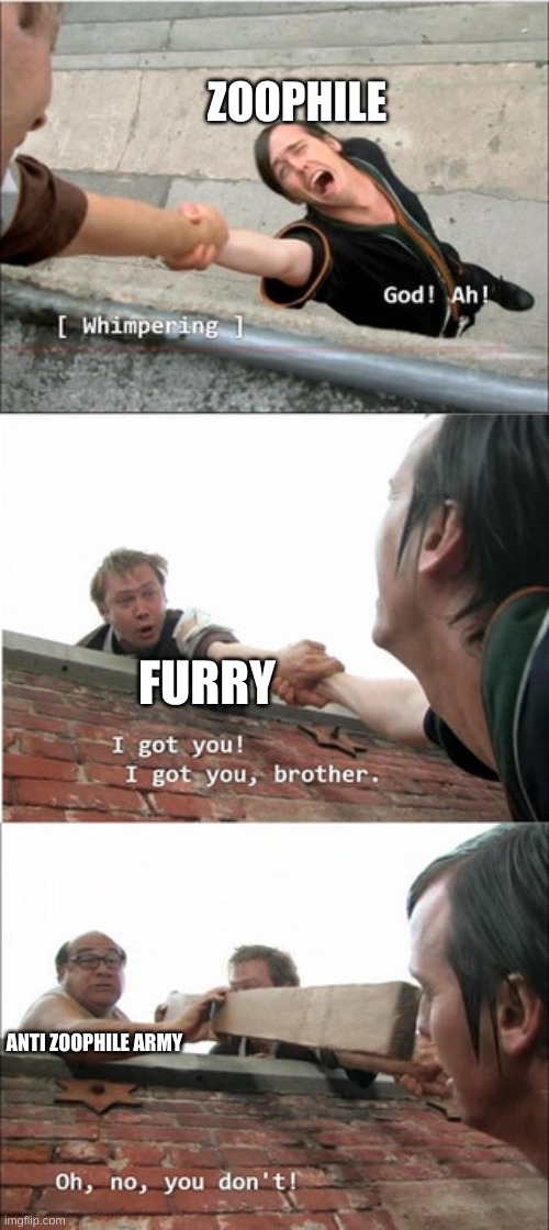 It's Always Sunny In Philadelphia Roof Meme | ZOOPHILE FURRY ANTI ZOOPHILE ARMY | image tagged in it's always sunny in philadelphia roof meme | made w/ Imgflip meme maker