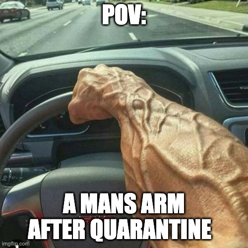 you get it, you get it. | POV:; A MANS ARM AFTER QUARANTINE | image tagged in muscle arm driver | made w/ Imgflip meme maker