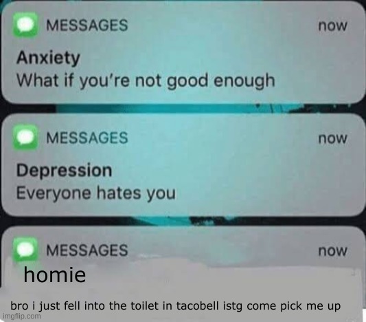 Anxiety/depression texts | homie; bro i just fell into the toilet in tacobell istg come pick me up | image tagged in anxiety/depression texts | made w/ Imgflip meme maker