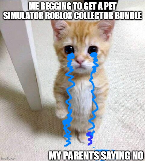 Cute Cat | ME BEGGING TO GET A PET SIMULATOR ROBLOX COLLECTOR BUNDLE; MY PARENTS SAYING NO | image tagged in memes,cute cat | made w/ Imgflip meme maker