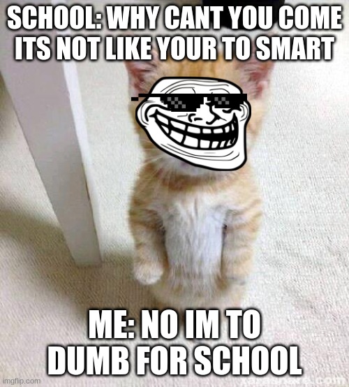 big brain moments | SCHOOL: WHY CANT YOU COME ITS NOT LIKE YOUR TO SMART; ME: NO IM TO DUMB FOR SCHOOL | image tagged in memes,cute cat | made w/ Imgflip meme maker