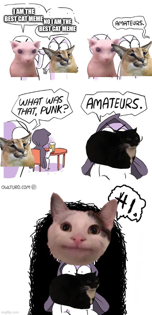 Amateurs 3.0 | I AM THE BEST CAT MEME; NO I AM THE BEST CAT MEME | image tagged in amateurs 3 0 | made w/ Imgflip meme maker