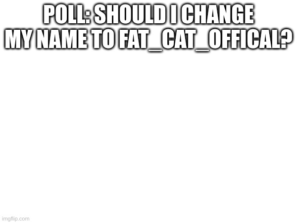 plz let me know | POLL: SHOULD I CHANGE MY NAME TO FAT_CAT_OFFICAL? | made w/ Imgflip meme maker