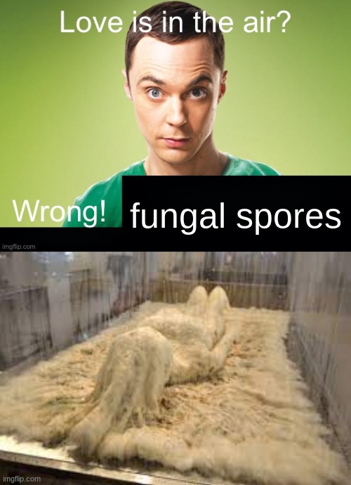 fungal spores | made w/ Imgflip meme maker