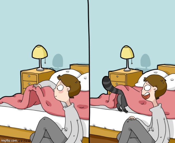 a Cat Guy's Way Of Thinking | image tagged in memes,comics/cartoons,yes,under,blanket,cats | made w/ Imgflip meme maker