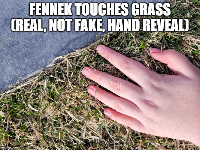 FENNEK TOUCHES GRASS (REAL, NOT FAKE, HAND REVEAL) | made w/ Imgflip meme maker